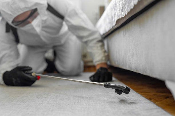 Professional Pest Control technician working in Hawaiian Paradise Park, HI
