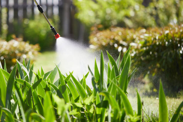 24/7 Emergency Fumigation Services experts in Hawaiian Paradise Park, HI