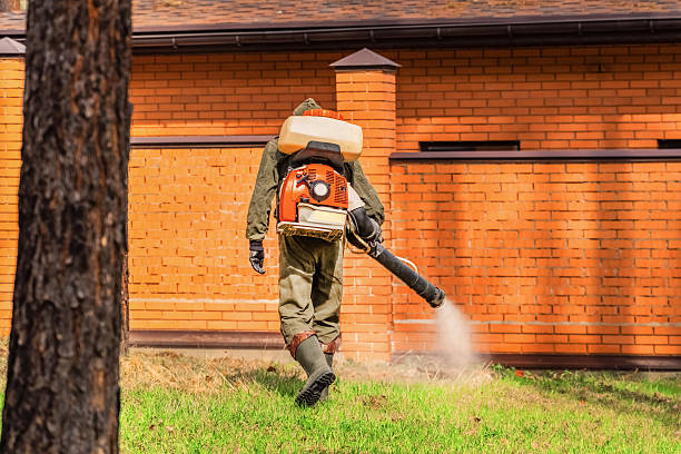Trusted Emergency Pest Control service in Hawaiian Paradise Park, HI - Nex Pest Control